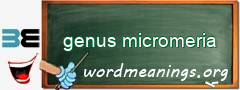 WordMeaning blackboard for genus micromeria